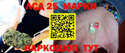 гидра Славгород