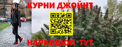 мяу мяу мука Севастополь