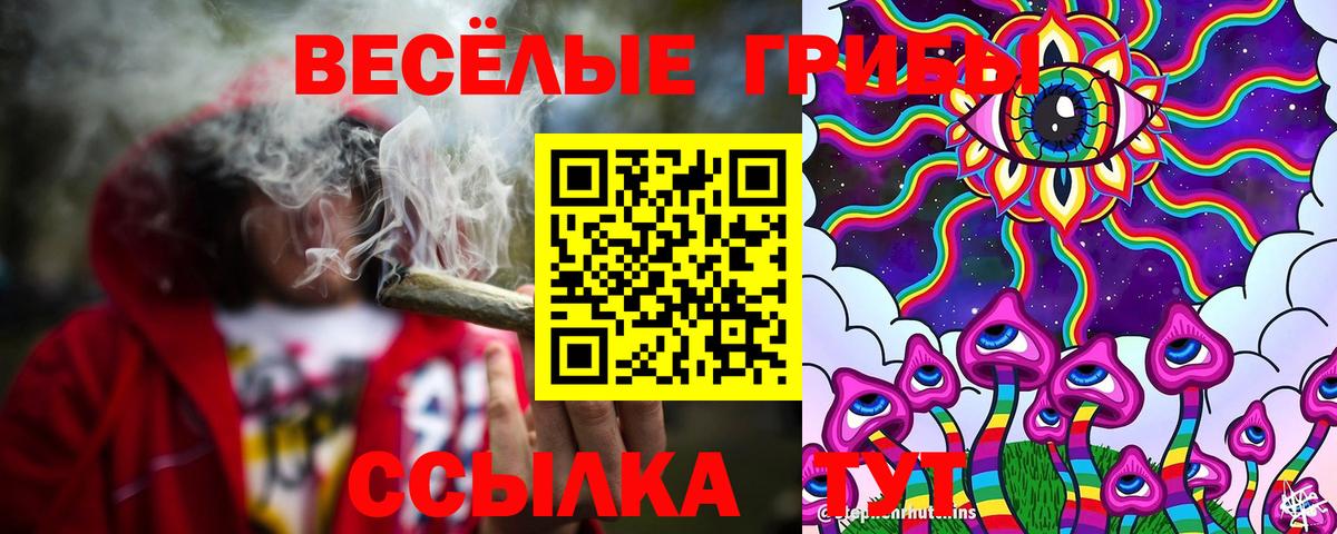 Галлюциногенные грибы ЛСД Отрадное