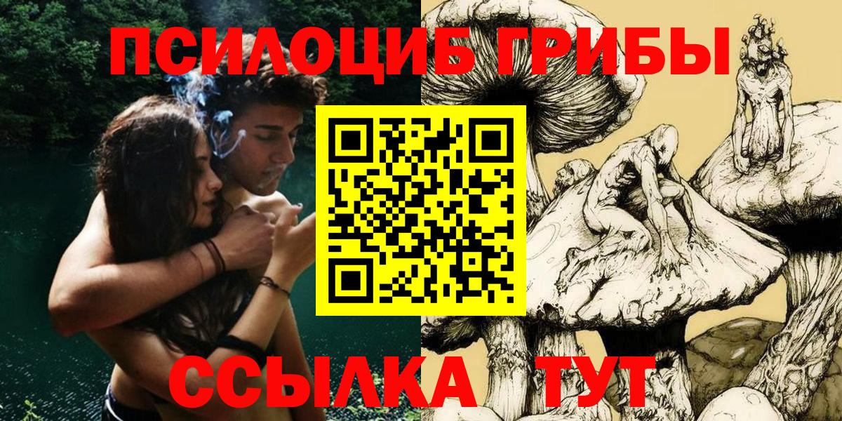 Псилоцибиновые грибы мухоморы  цена   Отрадное  Вход с VPN 