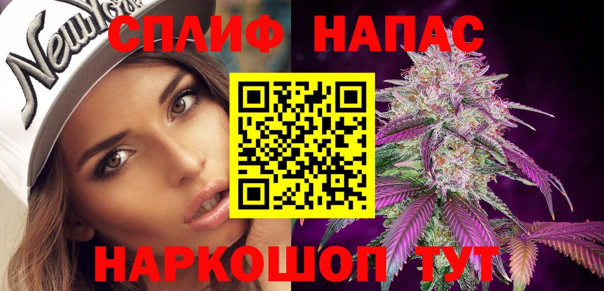 Конопля план Отрадное